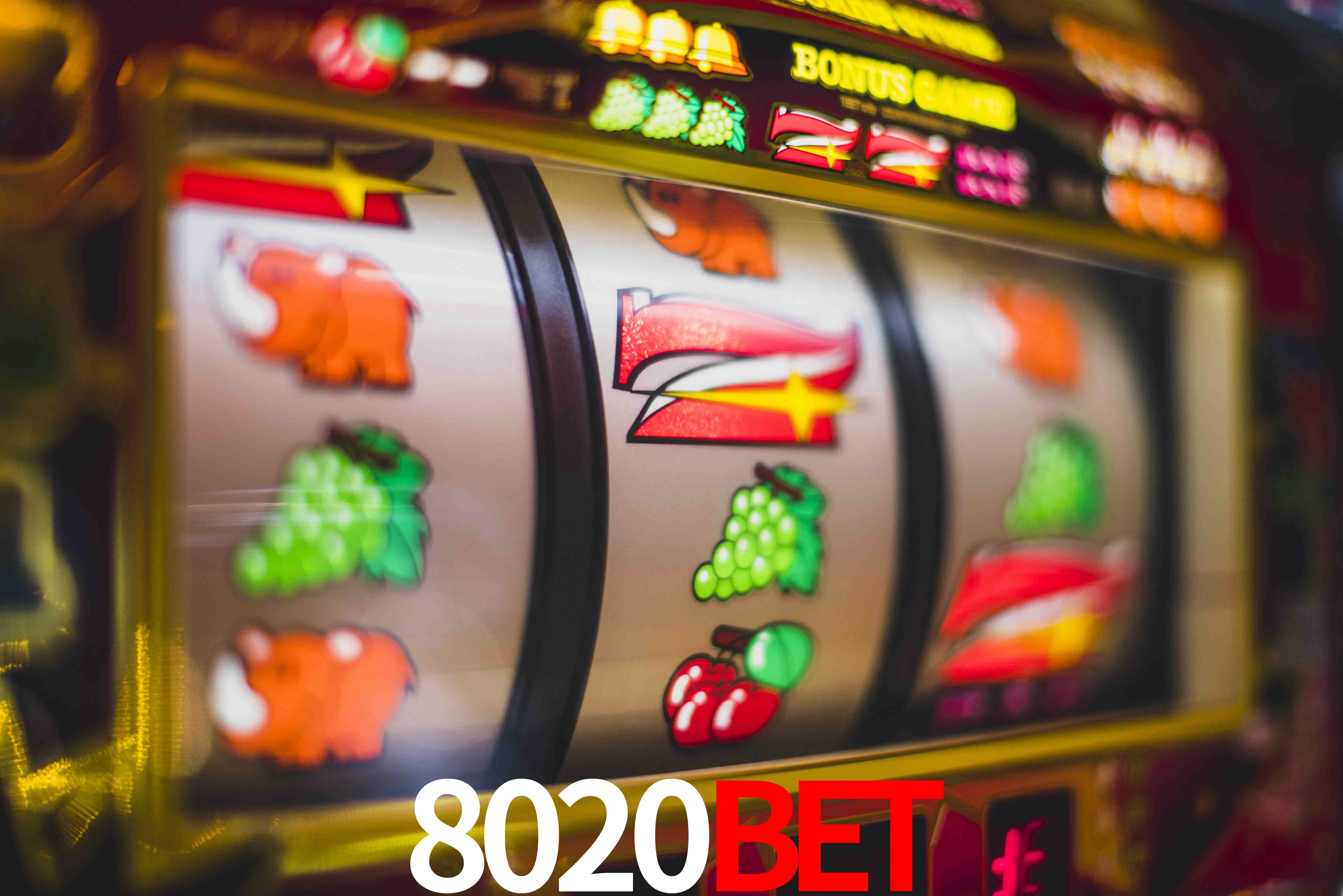 Basketball Betting 8020bet
